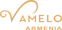 Vamelo logo